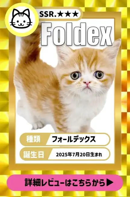 大倉山店ー9thAnniversaryblog