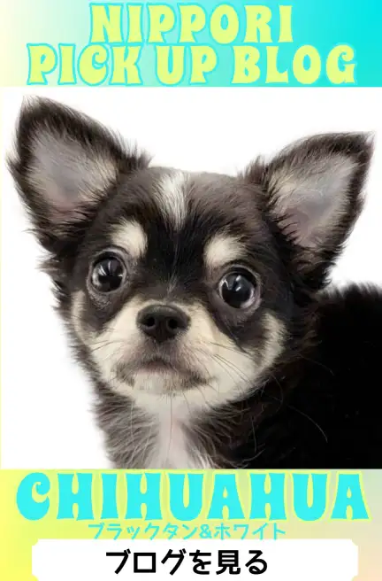 東日暮里店‐行楽シーズンblog