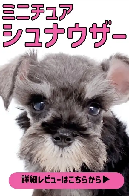 大倉山店ーカニンヘン