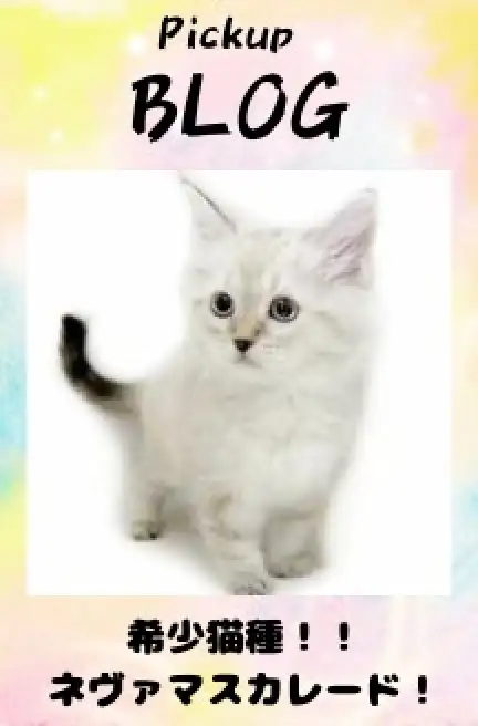 ネヴァマスカレード