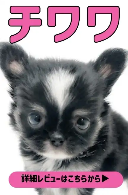 大倉山店ー藤田くん