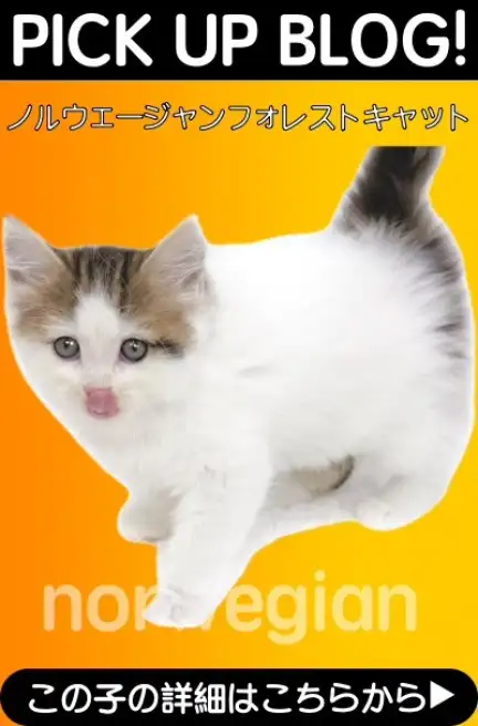 鶴見店-ノルウェージャン