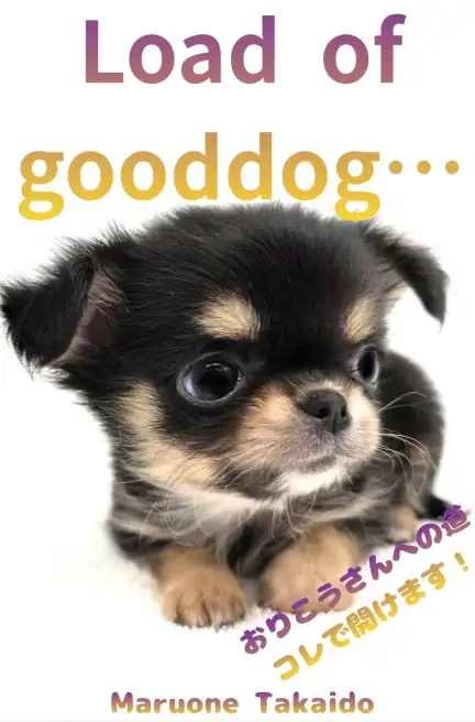 高井戸 犬しつけブログ