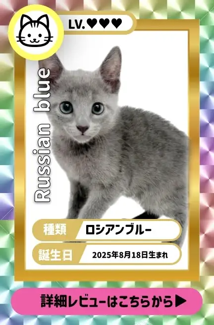 大倉山店ーBBSーペキプー