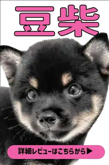 レビュー／黒豆