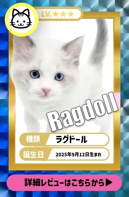 大倉山店ー犬のおやつ