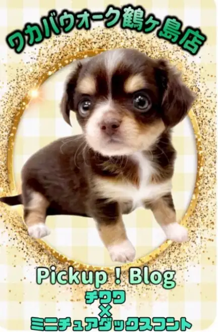 ワカバウォーク鶴ヶ島店