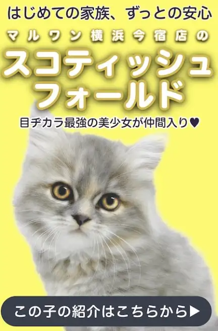 スコティッシュスライド