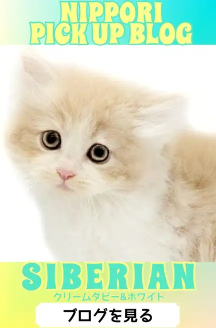 東日暮里店‐サイベリアン(バナー枠1)