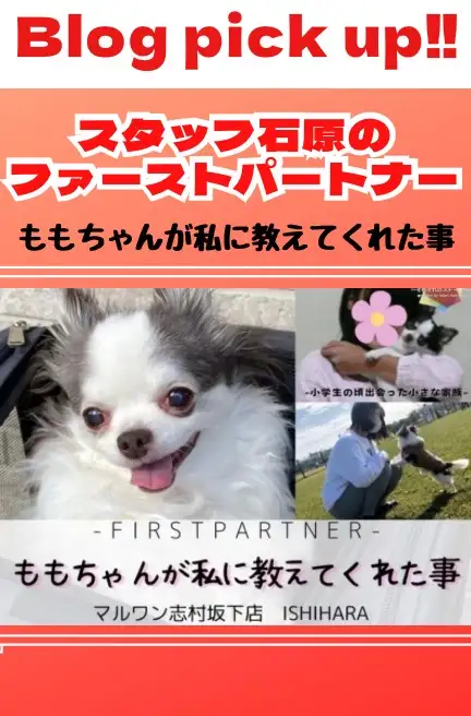 石原ファーストパートナー