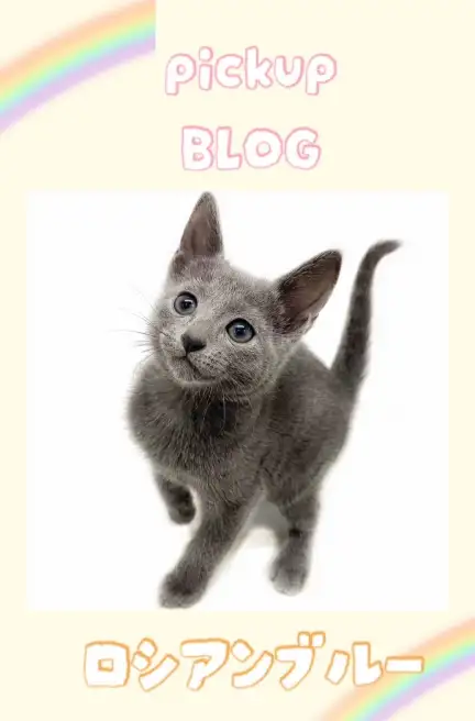 東川口店-blogーロシブ