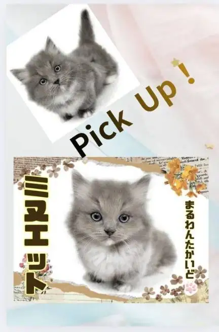 高井戸店‐ミヌエット