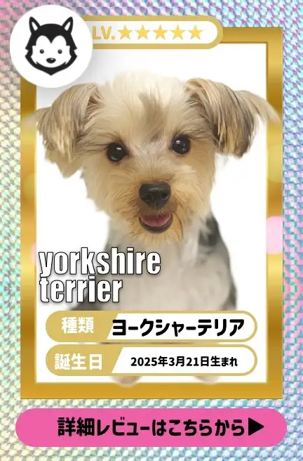 大倉山店ー藤田くん