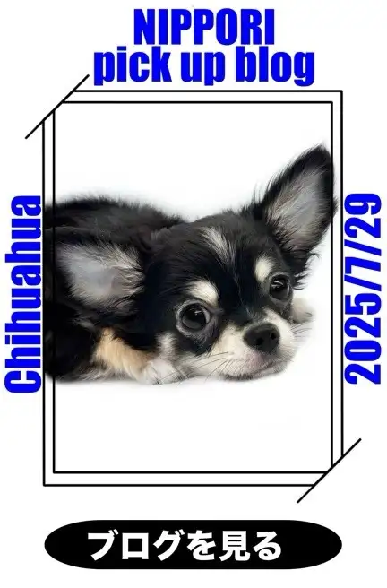 東日暮里店‐行楽シーズンblog