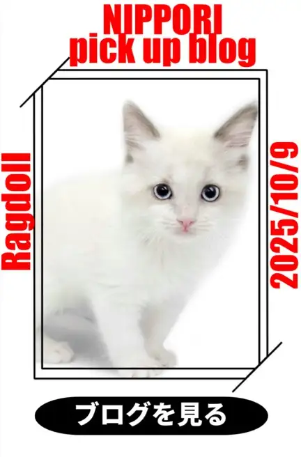 東日暮里-ラグドール(バナー枠1)