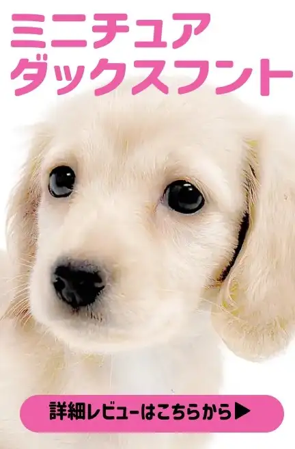 大倉山店ーBBSーペキプー