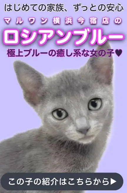 ロシブルスライド