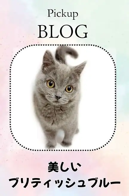 ブリティッシュ