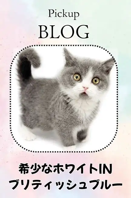 ブリティッシュ