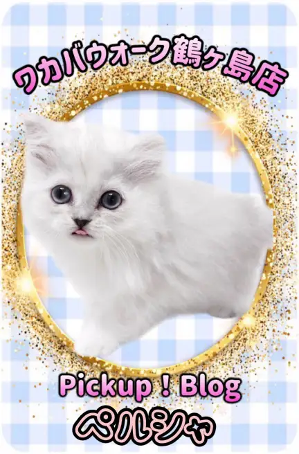 ワカバウォーク鶴ヶ島店 PICK UP BLOG DOG