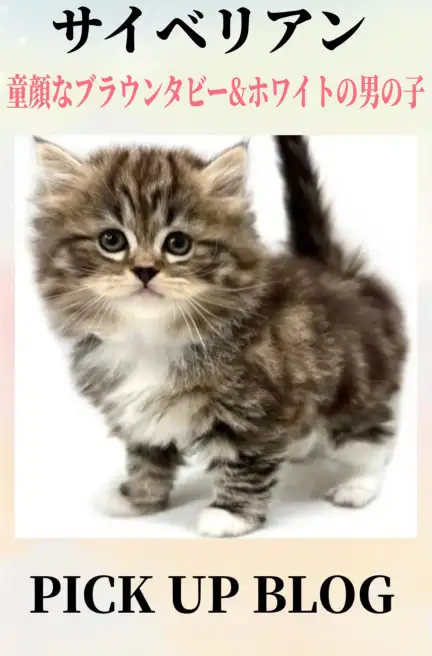 サイベリアンブログ