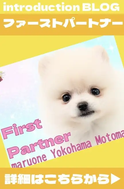 元町店スライドタイムキープ