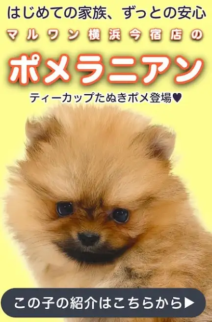 ポメスライド