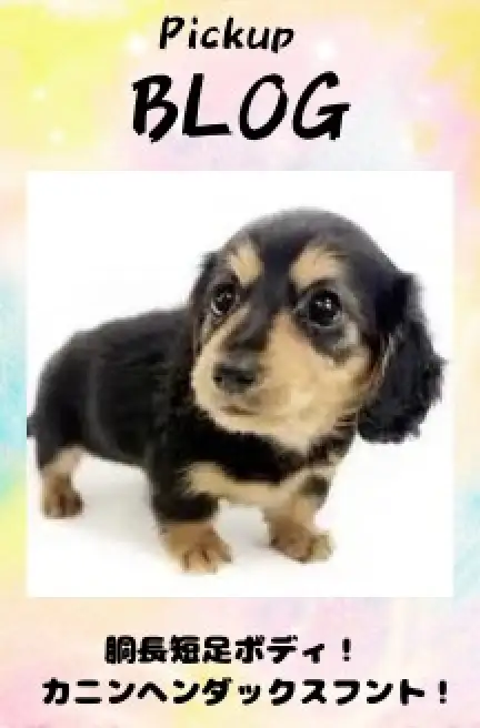 カニンヘンダックス