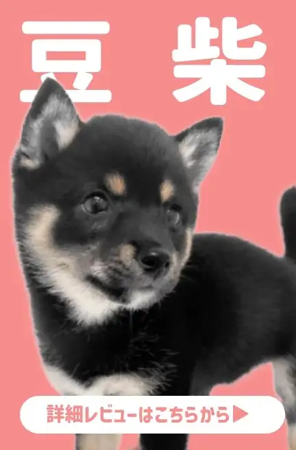 大倉山店ーカニンヘン