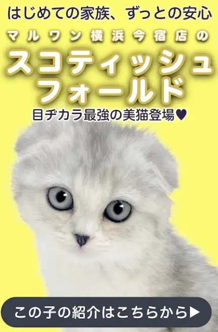 スコティッシュスライド