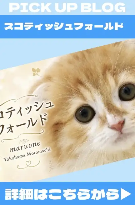 バナー猫1