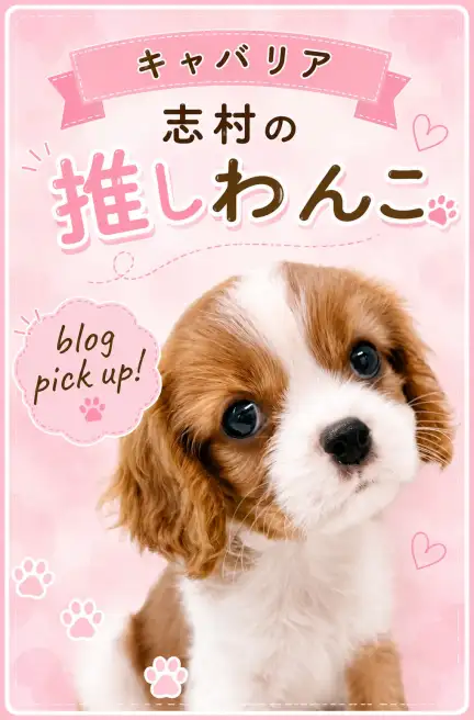 キャバ