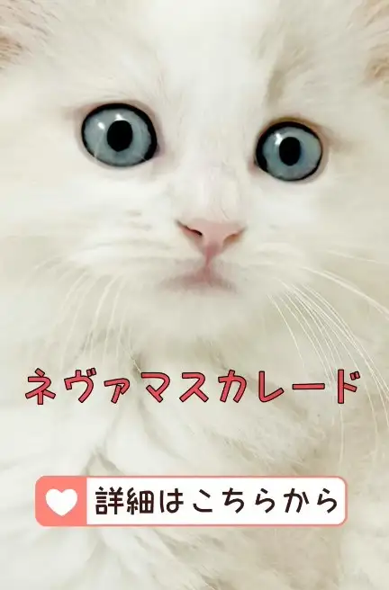 blog-ネヴァマスカレード
