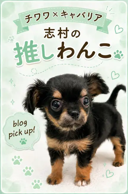 チワキャバ