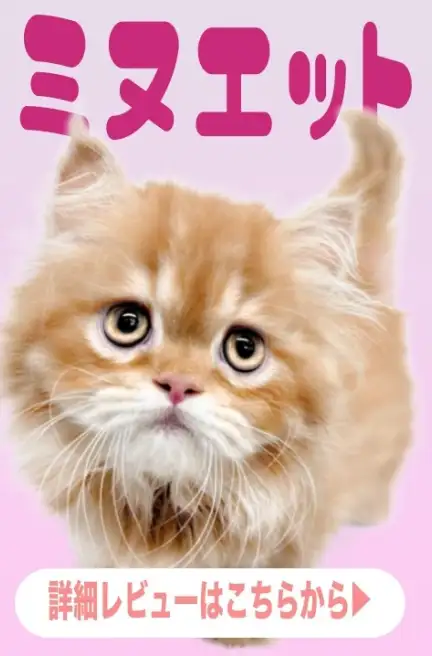 大倉山店ー藤田くん