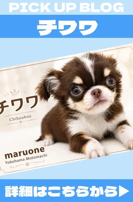 犬バナー3