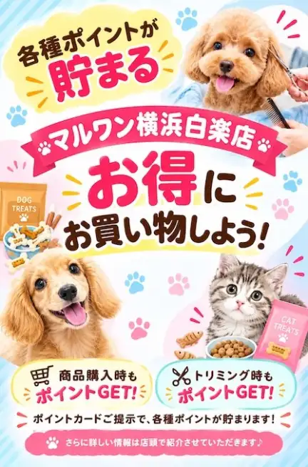 ポイント紹介