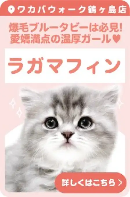 鶴ヶ島店オススメラガマフィン