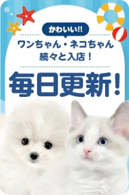毎日更新スライド