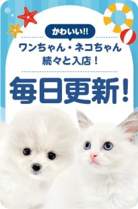 毎日更新スライド
