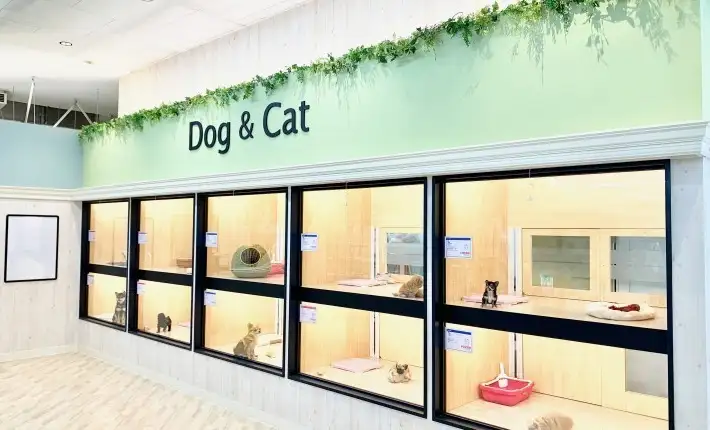 大和 相模大塚店