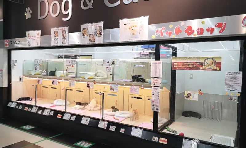 さいたま 武蔵浦和店