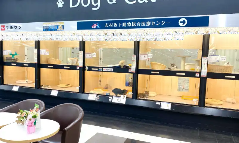 板橋 志村坂下店