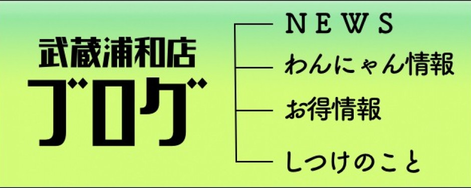 武蔵浦和店スライドーブログ