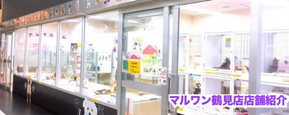 鶴見店スライドー店舗案内