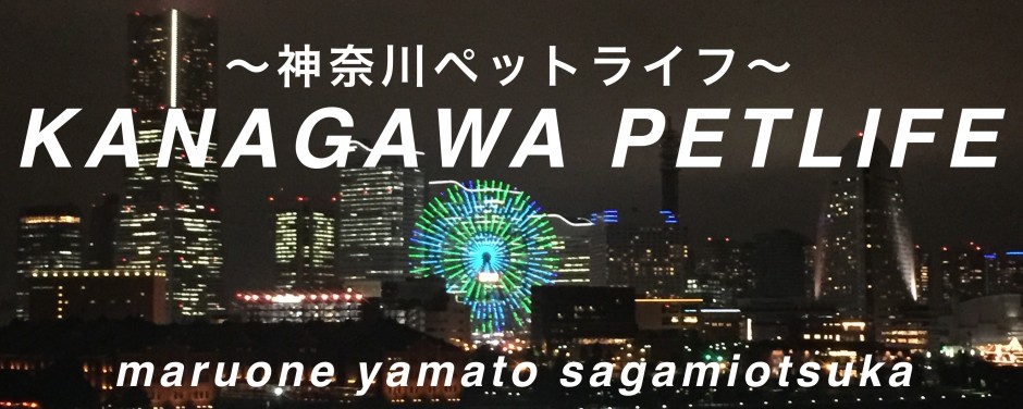 相模大塚店-神奈川ペットライフ