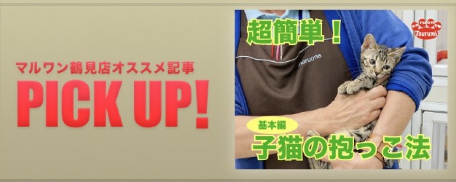 鶴見店-ニャントレ