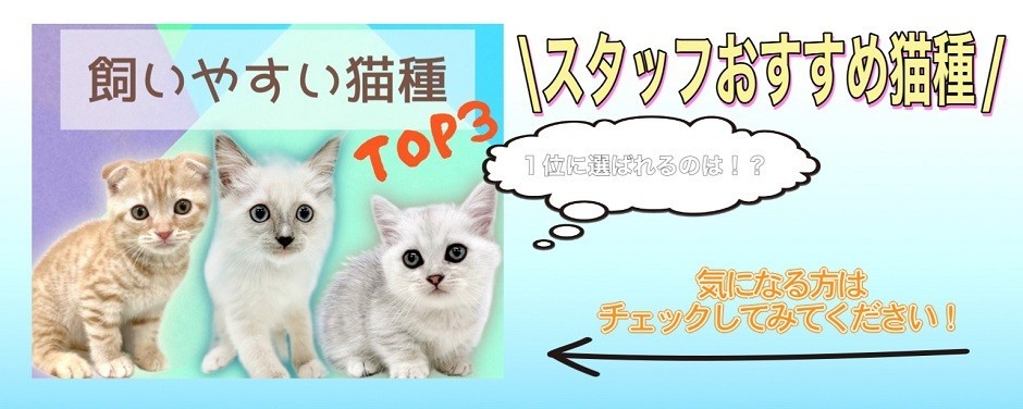 東川口店-猫種ランキング