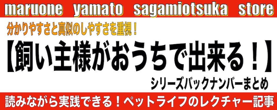 相模大塚店-おうちで出来るシリーズ