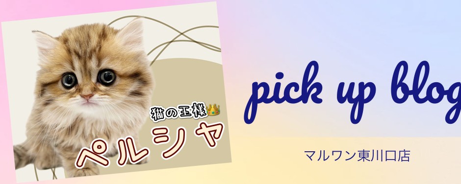 東川口店-blogーペルシャ